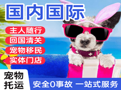 三女河机场快运国际宠物托运 【国